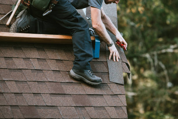 Best Roof Waterproofing Services  in Robbinsdale, MN
